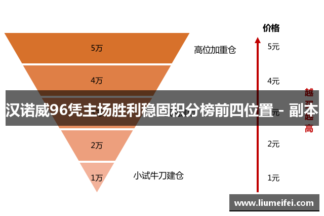 汉诺威96凭主场胜利稳固积分榜前四位置 - 副本