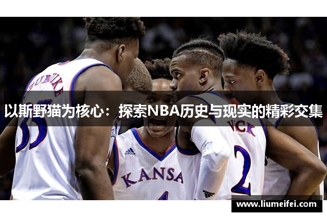 以斯野猫为核心：探索NBA历史与现实的精彩交集